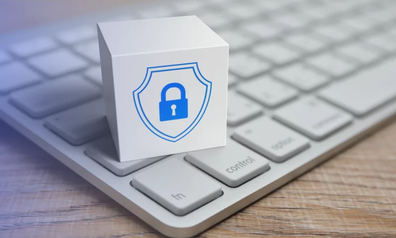 sécurité des espaces numériques 2025